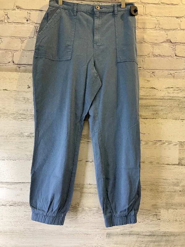 Retro bell-bottom pants for 70s-inspired fashion -Blue Pants Cargo & Utility Style And Company, Size 10