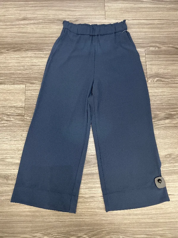 Windproof pants for chilly outdoor activities -Blue Pants Wide Leg H&m, Size 4